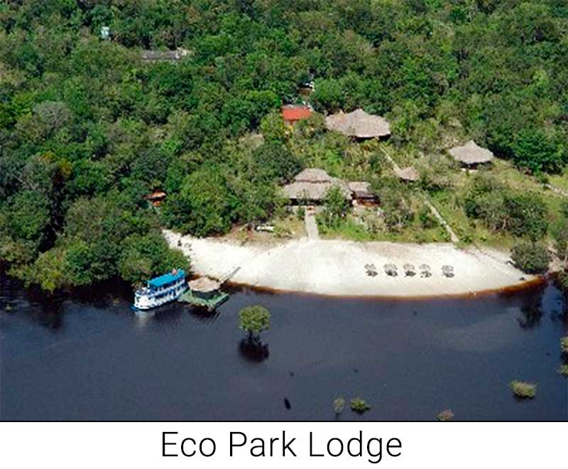 Eco Park Lodge