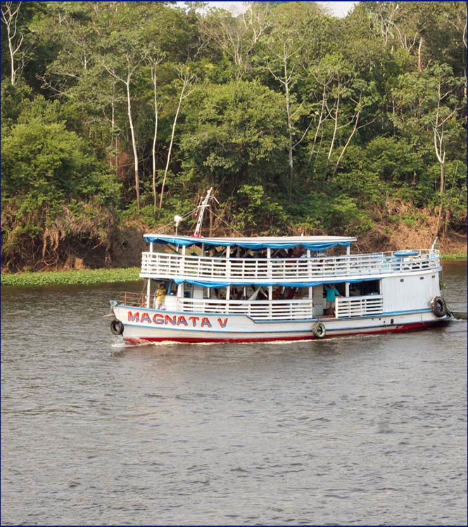 Hotels in Manaus